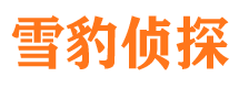 吴桥外遇出轨调查取证